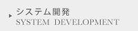 システム開発