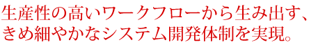 生産性の高いワークフローから生み出す、きめ細やかなシステム開発体制を実現。