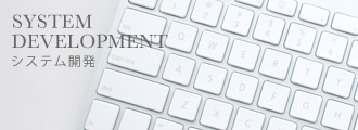 SYSTEM DEVELOPMENT システム開発